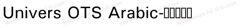 Univers OTS Arabic字体转换